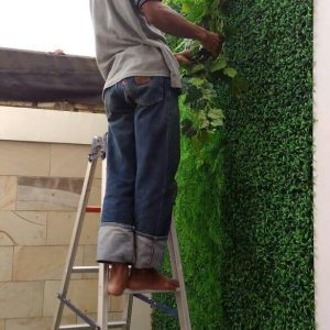 Gardening dan Landscaping 1