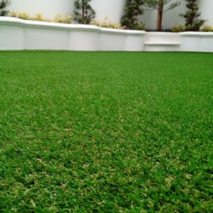 Gardening dan Landscaping 5